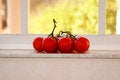 Free Tomatoes In Window Royalty Free Stock Photography - 1973287