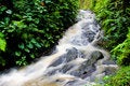 Free Flowing Stream Stock Photos - 19703753
