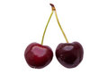 Free Cherries Royalty Free Stock Image - 19718476