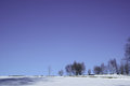 Free Meadows Royalty Free Stock Photography - 1981197
