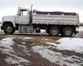 Free Gravel Truck Royalty Free Stock Photos - 1982008