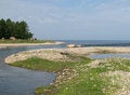 Free Landscape With Cows Fording River Stock Image - 1986621
