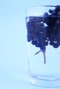 Free Water Currant Royalty Free Stock Photo - 1987165