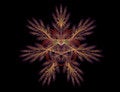 Free Exotic Heart Abstract Stock Photography - 1991652