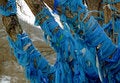 Free Mongolian Worship Place - Detail Royalty Free Stock Image - 1994456