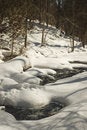Free Winter Stream Royalty Free Stock Photography - 1994517
