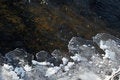 Free Parts Of The Nature Royalty Free Stock Image - 1994916