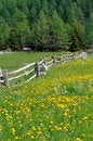 Free Field And Fence Royalty Free Stock Photo - 1997615