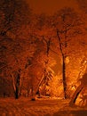 Free Street Lights Royalty Free Stock Photo - 1999465