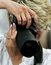 Free Woman The Photographer Royalty Free Stock Photography - 1990487