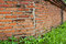 Free Old Bricks Wall Background Royalty Free Stock Photography - 19907317
