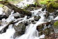 Free Dairy Waterfall Royalty Free Stock Photos - 19957248