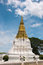Free Phra Chedi Sri Suriyothai Royalty Free Stock Photo - 19966405