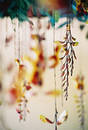Free Hanging Stock Photos - 22253