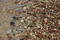 Free Wet Stones Royalty Free Stock Photos - 20938