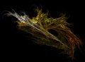 Free Autumn Stock Photos - 2005423