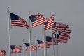 Free USA Flags Stock Images - 2009484