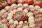 Free Pink Hens And Chicks Stock Photo - 20037800