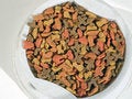 Free Cat Food Stock Photography - 2011752