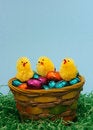 Free Sweet  Easter Eggs And Three Chicken Royalty Free Stock Photography - 2013977