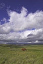 Free Isolated Royalty Free Stock Images - 2014099