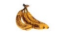 Free Over Ripe Bananas Stock Photography - 2018242