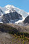 Free Mountains And Glacier. Royalty Free Stock Photography - 2018497