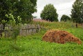 Free In The Russian Countryside In The Summer Stock Photo - 20135890