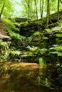 Free Ravine Royalty Free Stock Photo - 20138325