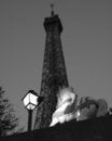 Free A Parisian Horse Stock Photography - 2022482
