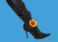 Free Boot Nature Stock Photo - 2023420