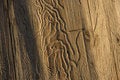 Free Wooden Texture Royalty Free Stock Photography - 2026367