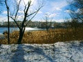 Free View At The Winter River Shore Against Sun Stock Photo - 2029160
