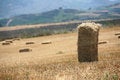 Free Field Of Straw Stock Images - 2030144