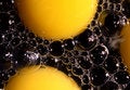 Free Fried Eggs  2 Royalty Free Stock Photos - 2032928