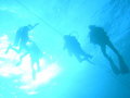 Free Divers On-line Stock Images - 2034494