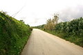 Free Prickly Pears Country Road Royalty Free Stock Photography - 2039367