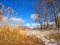 Free Winter Rush, Poplars And Skies Stock Photo - 2034390