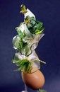 Free Artificial Flower And Egg For Door Gift Royalty Free Stock Photos - 2048288