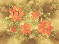Free Flower Vine Collage Texture Royalty Free Stock Photo - 2049585