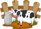 Free Illustration Cartoon Cow Vector Stock Photography - 20429282