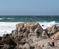 Free On The Rocks Stock Image - 2053501