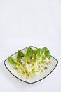 Free Salad Romaine Lettuce With Ranch Dressing Stock Photos - 2056603