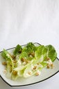 Free Salad Romaine Lettuce With Ranch Dressing Stock Photo - 2056610