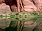 Free Colorado River At Grand Canyon Stock Photo - 2054120