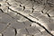 Free Cracked Land Stock Photography - 20520222
