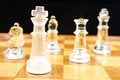 Free Chess Game -  Focus On The King Royalty Free Stock Image - 2064696