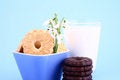 Free Cookie Nad Milk Stock Image - 2068721