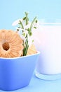 Free Cookie Nad Milk Stock Photo - 2068740