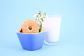Free Cookie Nad Milk Stock Photography - 2068772